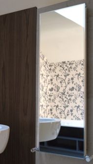 radiator-mirror2.jpg